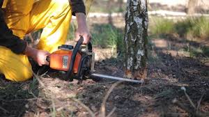 Best Lawn Irrigation Installation and Maintenance  in Meggett, SC