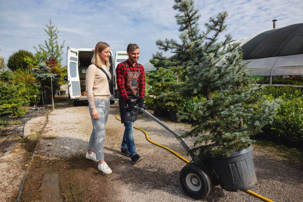Best Tree Removal  in Meggett, SC