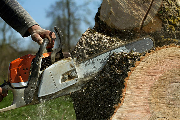 Best Aeration Services  in Meggett, SC